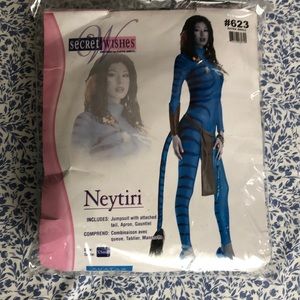 Ladies Avatar Costume